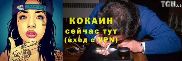 сатива Нея