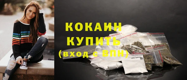 МДПВ Нефтегорск
