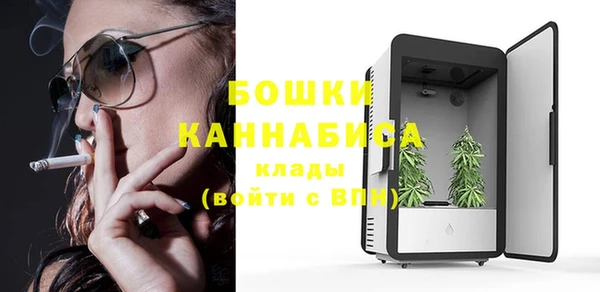 МДПВ Нефтегорск