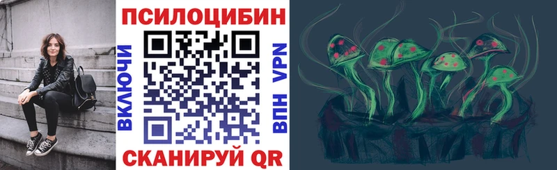 Галлюциногенные грибы Psilocybe  Калач 